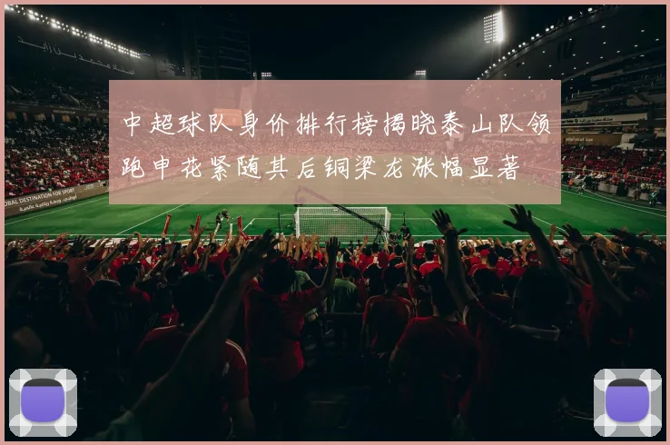 中超球队身价排行榜揭晓泰山队领跑申花紧随其后铜梁龙涨幅显著
