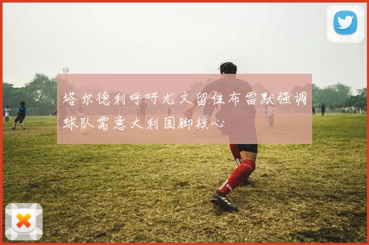 塔尔德利呼吁尤文留住布雷默强调球队需意大利国脚核心